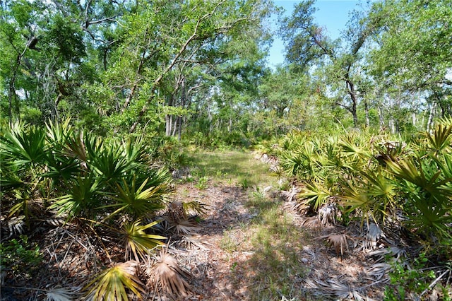 00 Leroy Lyons Rd, Perry, FL 32348
