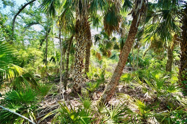 00 Leroy Lyons Rd, Perry, FL 32348
