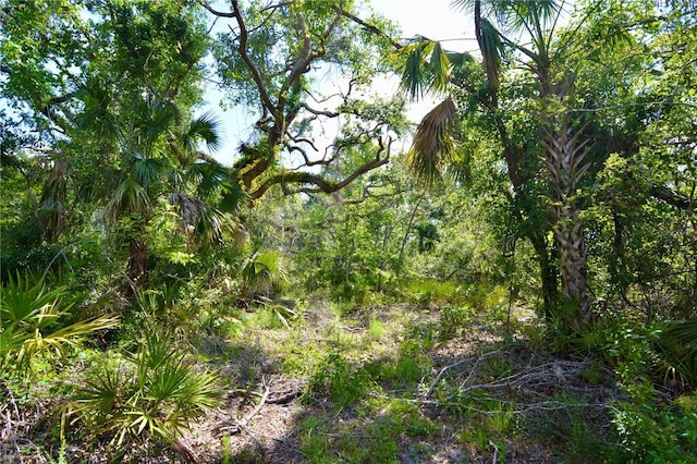 00 Leroy Lyons Rd, Perry, FL 32348
