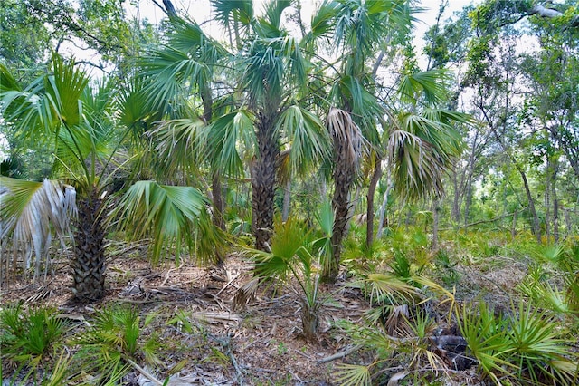 00 Leroy Lyons Rd, Perry, FL 32348