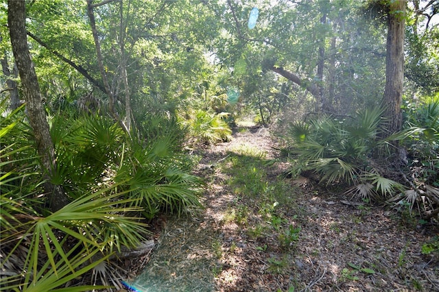 00 Leroy Lyons Rd, Perry, FL 32348