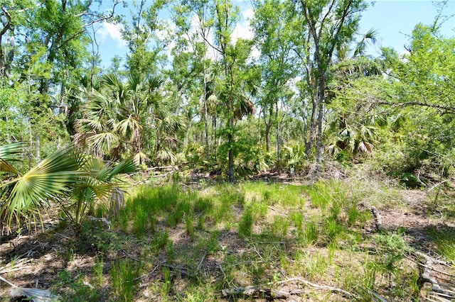 00 Leroy Lyons Rd, Perry, FL 32348