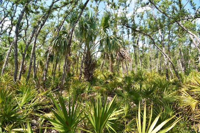 00 Leroy Lyons Rd, Perry, FL 32348