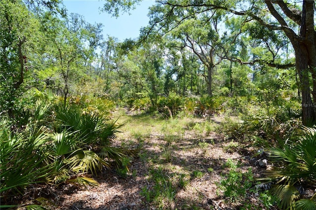 00 Leroy Lyons Rd, Perry, FL 32348
