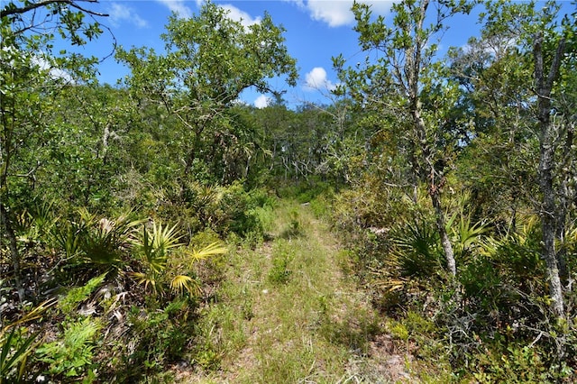 00 Leroy Lyons Rd, Perry, FL 32348