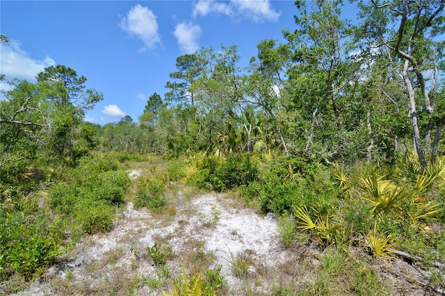 00 Leroy Lyons Rd, Perry, FL 32348