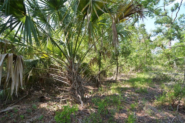 00 Leroy Lyons Rd, Perry, FL 32348