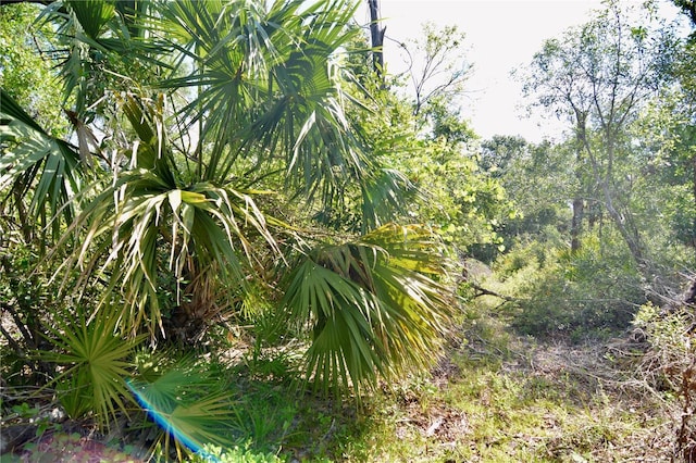 00 Leroy Lyons Rd, Perry, FL 32348