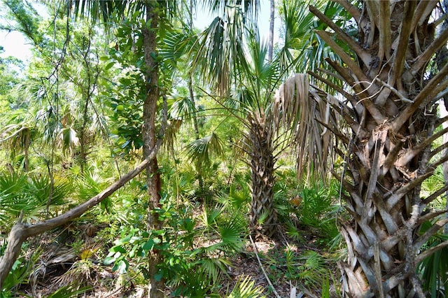 00 Leroy Lyons Rd, Perry, FL 32348