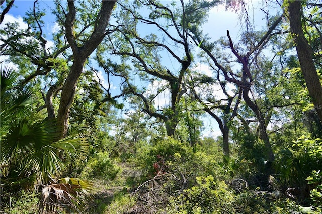 00 Leroy Lyons Rd, Perry, FL 32348