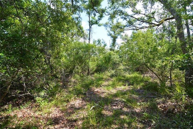 00 Leroy Lyons Rd, Perry, FL 32348
