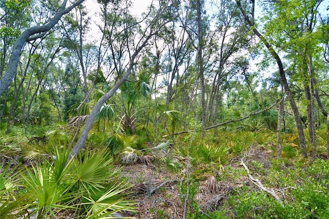 00 Leroy Lyons Rd, Perry, FL 32348