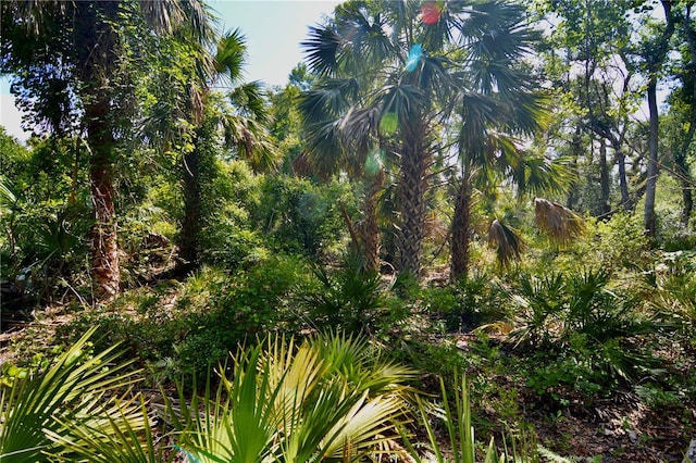 00 Leroy Lyons Rd, Perry, FL 32348