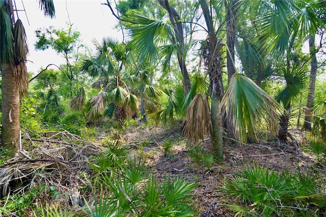 00 Leroy Lyons Rd, Perry, FL 32348