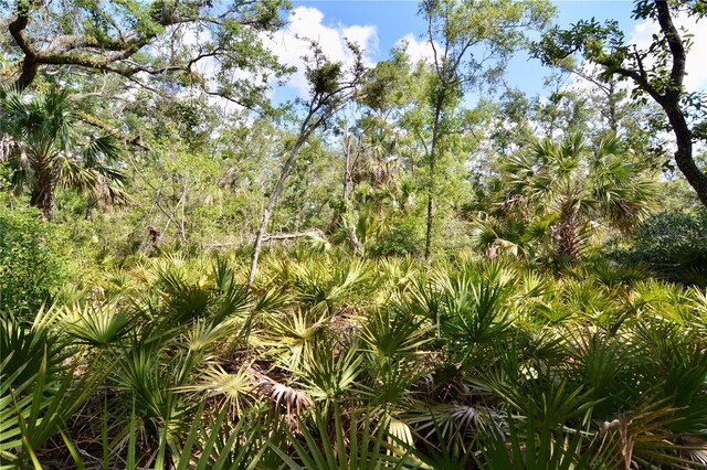 00 Leroy Lyons Rd, Perry, FL 32348