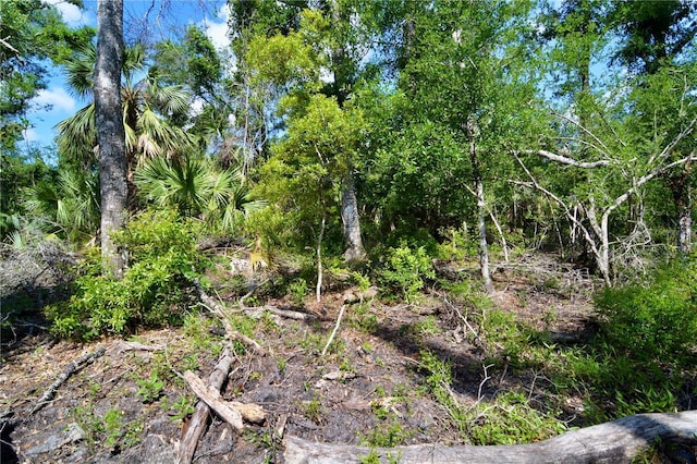 00 Leroy Lyons Rd, Perry, FL 32348