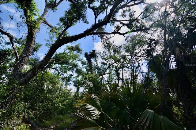 00 Leroy Lyons Rd, Perry, FL 32348