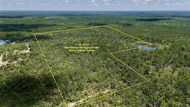 00 Leroy Lyons Rd, Perry, FL 32348