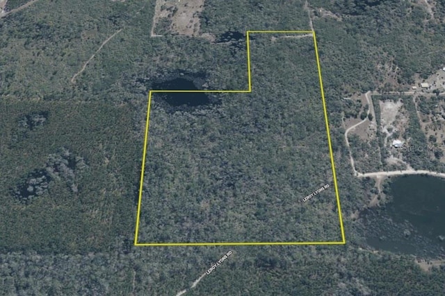 00 Leroy Lyons Rd, Perry, FL 32348