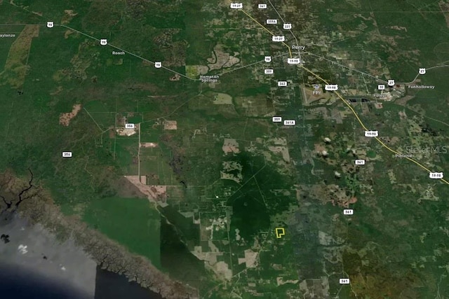 00 Leroy Lyons Rd, Perry, FL 32348