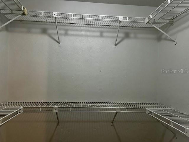 8770 SW 196th Terrace Rd, Dunnellon, FL 34432 - view of spacious closet