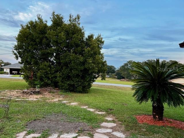 8770 SW 196th Terrace Rd, Dunnellon, FL 34432 - view of grassy yard