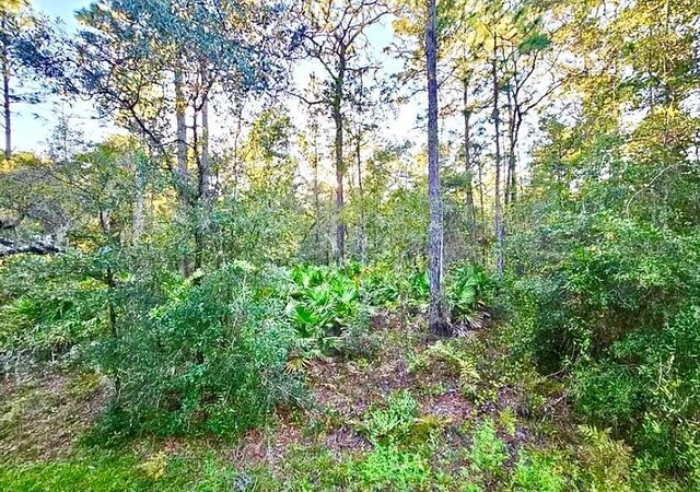 4984 N Sandpebble Pt, Crystal River, FL 34428 - photo 1