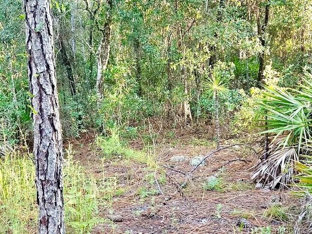 4984 N Sandpebble Pt, Crystal River, FL 34428 - photo 2