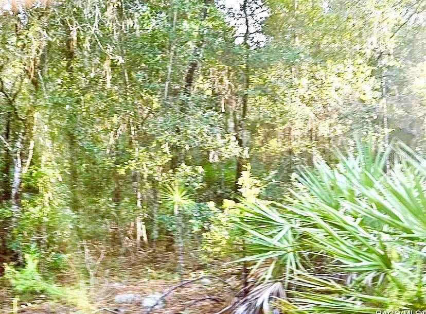 4984 N Sandpebble Pt, Crystal River, FL 34428 - photo 3