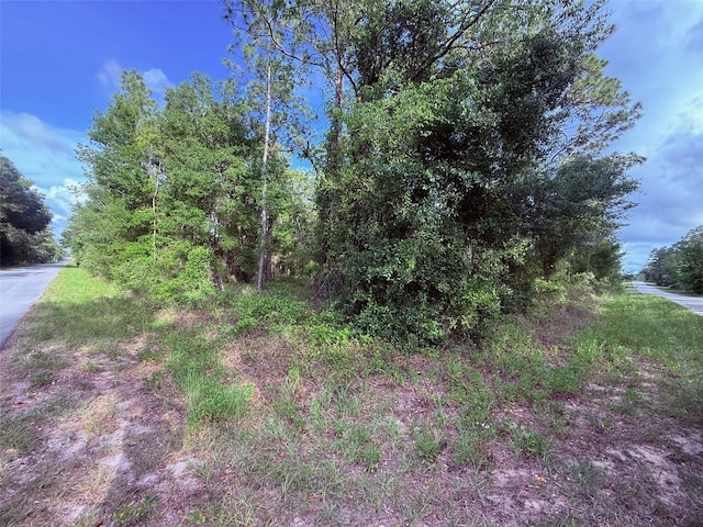 1159 NW Redwood Dr, Dunnellon, FL 34431
