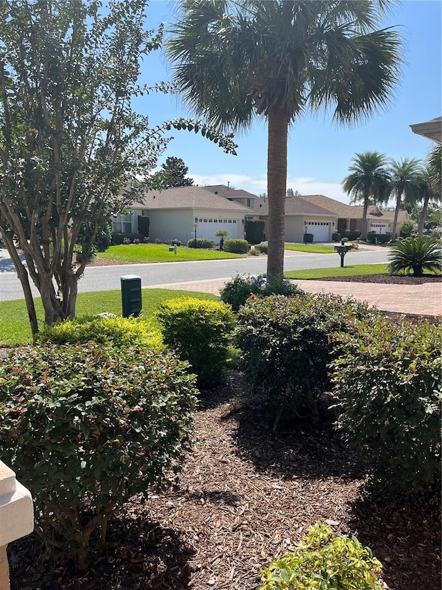 8447 SW 82nd Loop, Ocala, FL 34481 - view of yard featuring a residential view