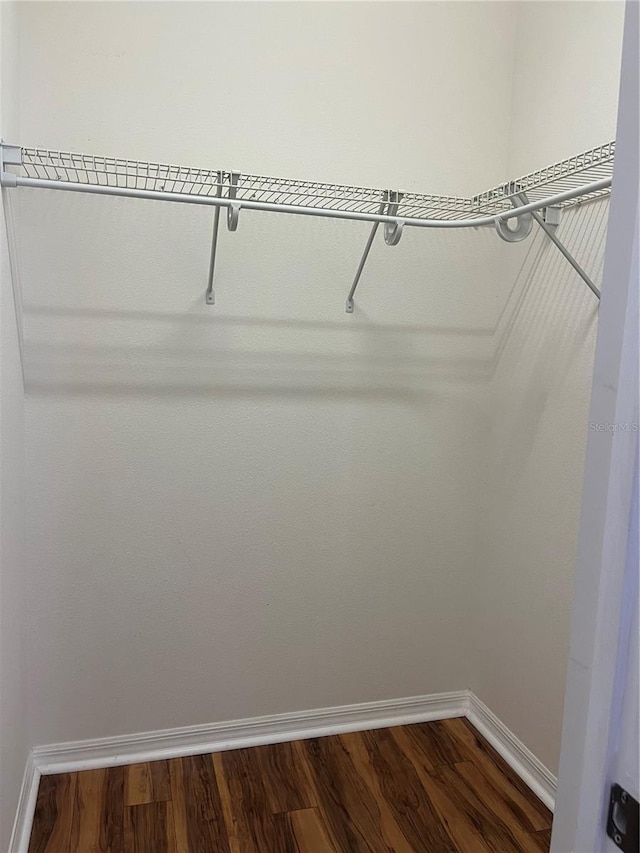 8447 SW 82nd Loop, Ocala, FL 34481 - walk in closet with dark wood finished floors