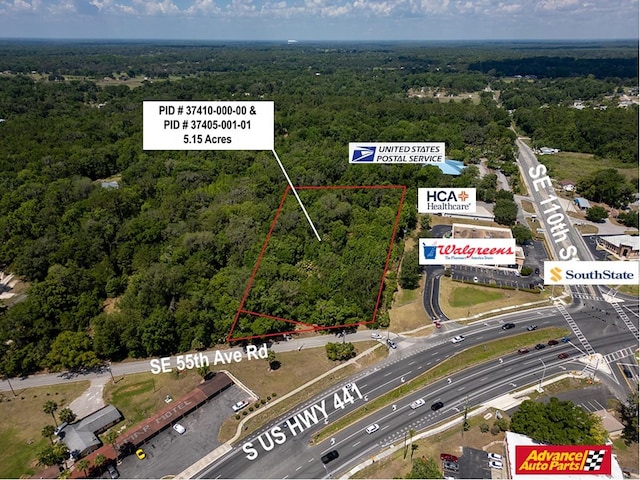11144 SE 55th Avenue Rd, Belleview, FL 34420 - photo 2