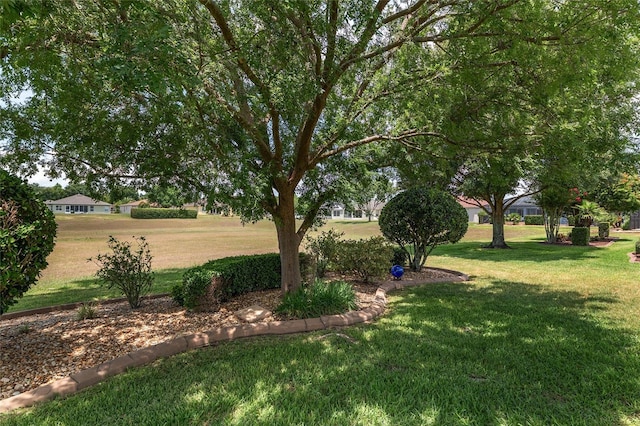 1748 SW 157th Place Rd, Ocala, FL 34473 - view of green lawn