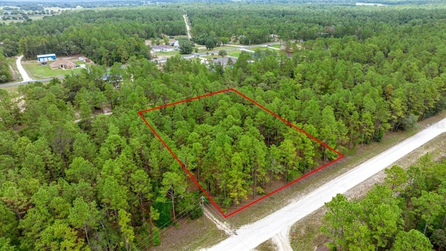 Sw 64 Street, Ocala, FL 34481 - photo 1