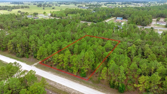 Sw 64 Street, Ocala, FL 34481 - photo 3