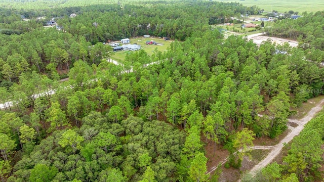 Sw 64 Street, Ocala, FL 34481 - photo 4