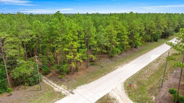 Sw 64 Street, Ocala, FL 34481 - photo 10
