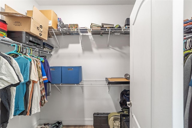 7479 SW 130th Ln, Ocala, FL 34473 - spacious closet featuring wood finished floors