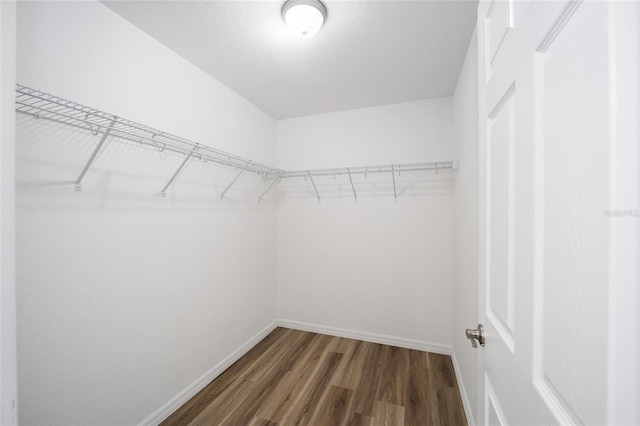 12505 SW 73rd St, Ocala, FL 34481 - spacious closet with wood finished floors