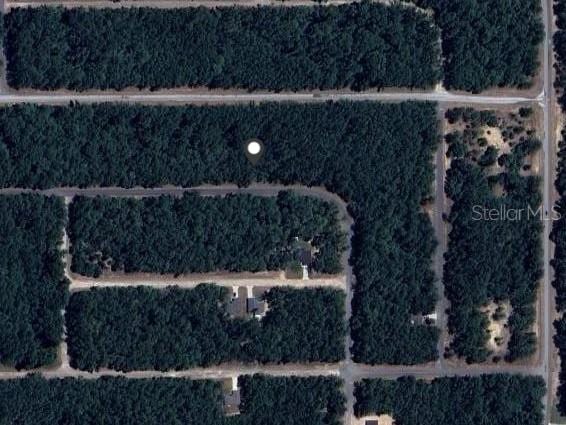 9239 N Patch Dr, Dunnellon, FL 34434 - photo 1