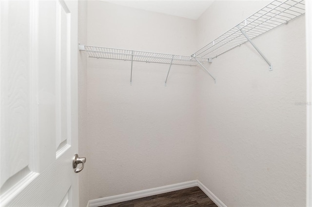 6561 SW 129th Loop, Ocala, FL 34473 - spacious closet with dark wood-type flooring