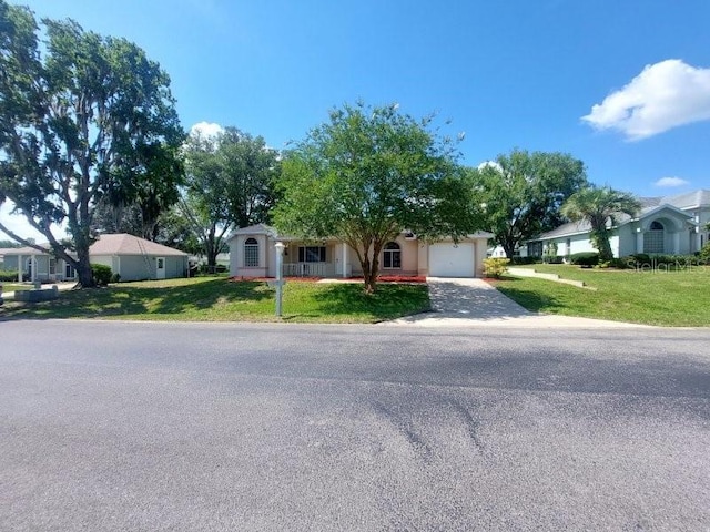 5110 NW 19th Pl, Ocala, FL 34482 - view of property hidden behind natural elements featuring a garage, driveway, and a front lawn