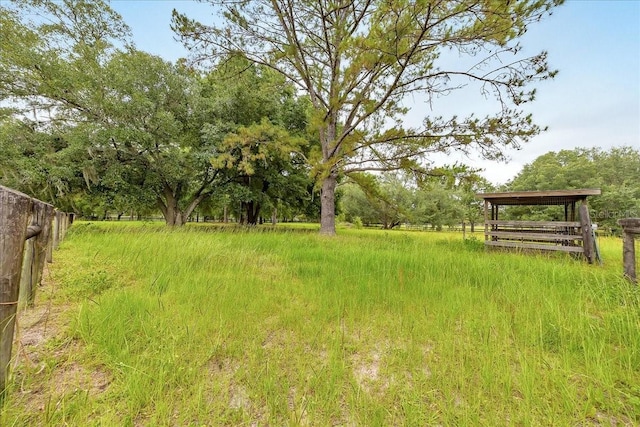 6350 NW 135th Ave, Morriston, FL 32668 - view of yard