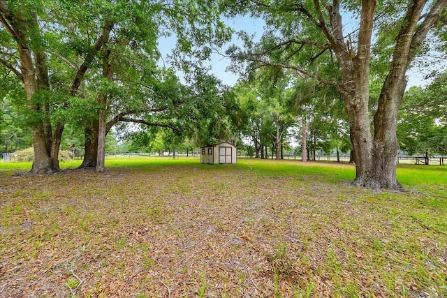 6350 NW 135th Ave, Morriston, FL 32668 - view of yard