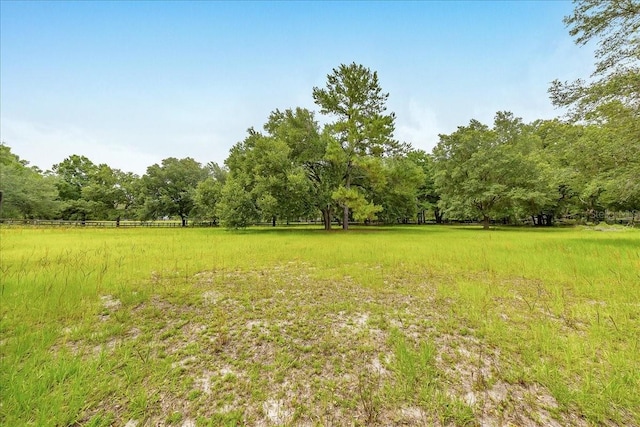 6350 NW 135th Ave, Morriston, FL 32668 - view of yard featuring a view of trees and a rural view