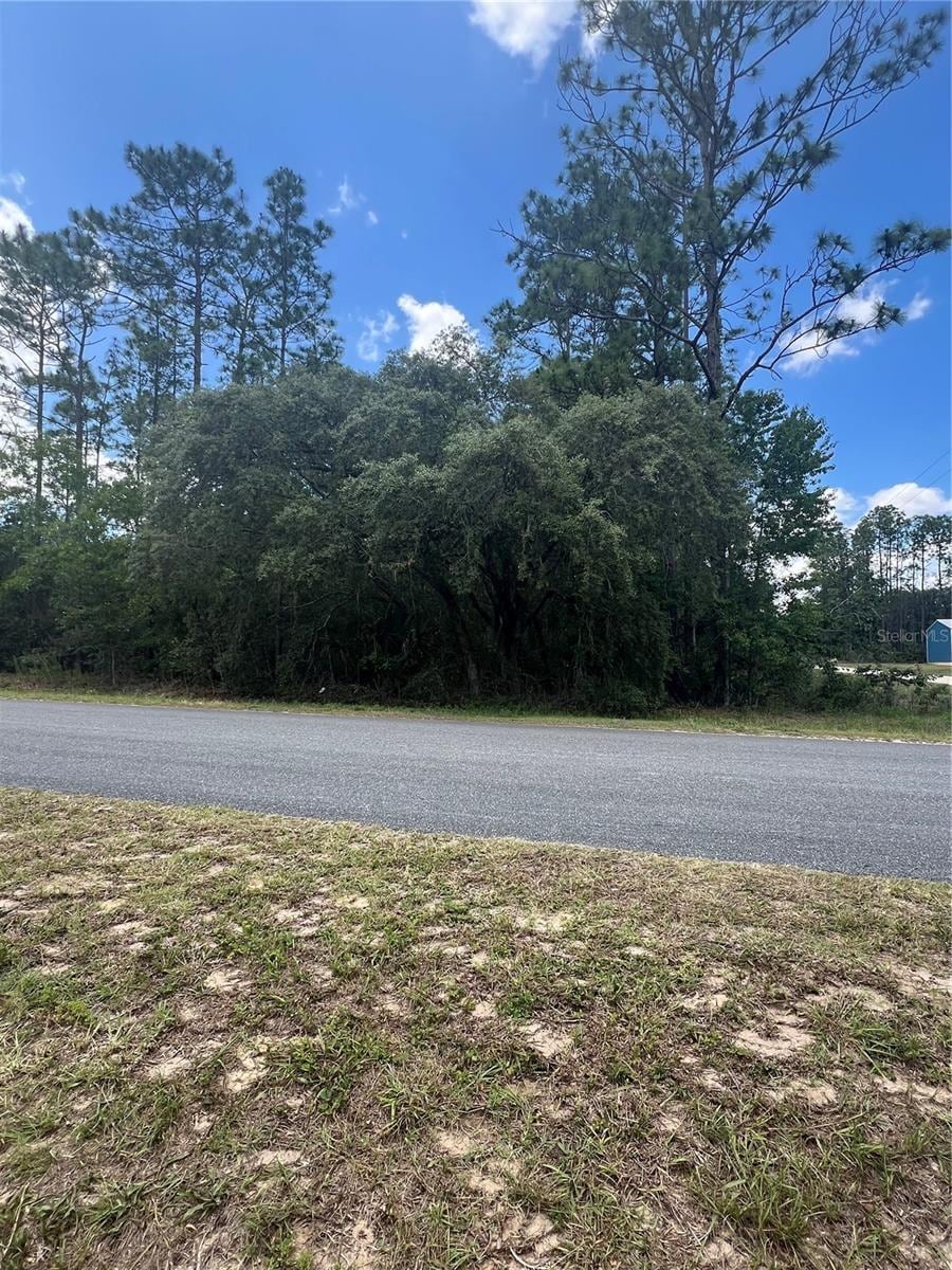 61 Pl Rd SW, Ocala, FL 34481 - photo 3