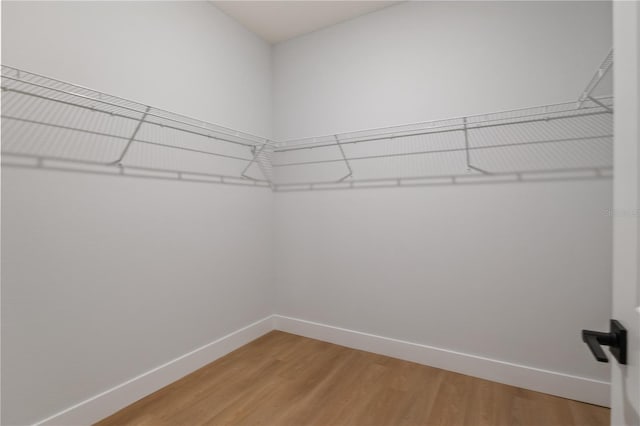 10207 SW 41st Ter W, Ocala, FL 34476 - walk in closet with light wood-style floors