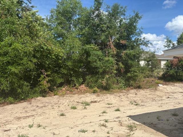 7637 SW 180th Cir, Dunnellon, FL 34432 - view of yard