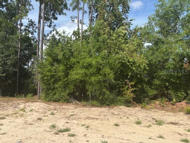 7637 SW 180th Cir, Dunnellon, FL 34432 - view of local wilderness